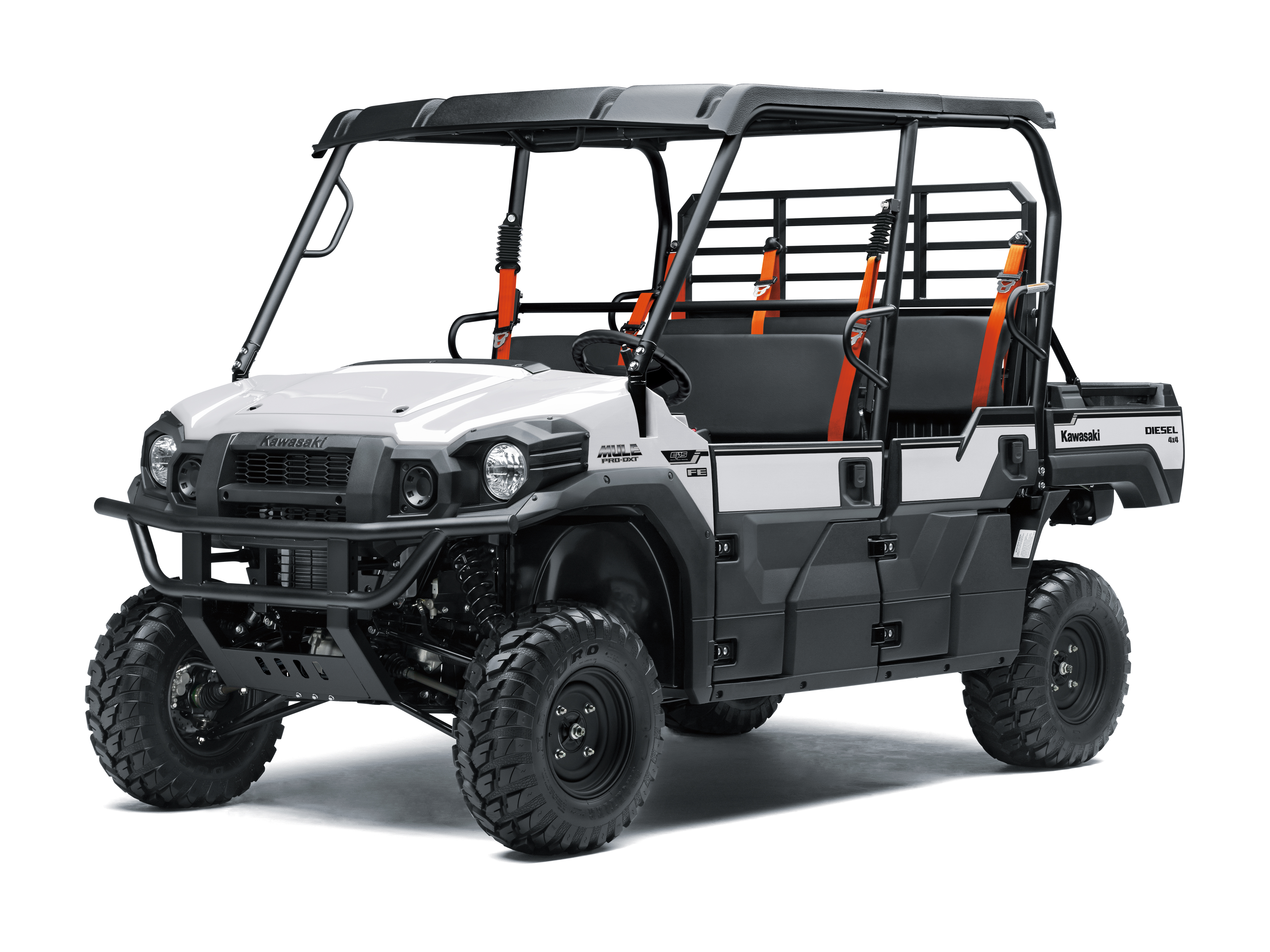 MULE PRO-DXT FE | 2025